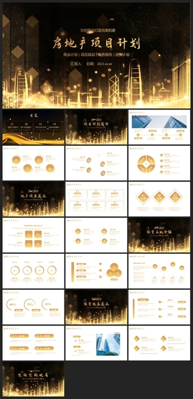 商务会议汇报项目介绍PPT