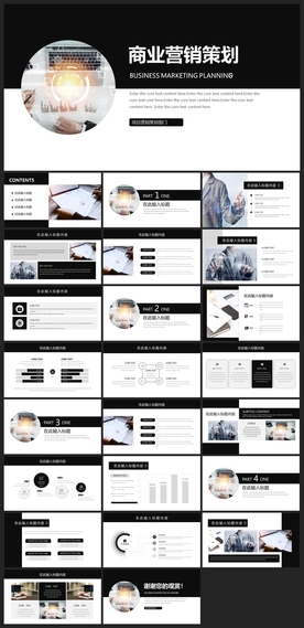 商务会议汇报项目介绍PPT