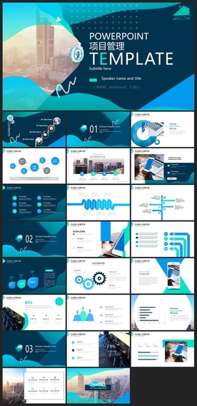 商务会议汇报项目介绍PPT