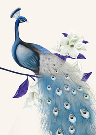 孔雀装饰画