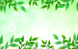 绿色树叶背景元素