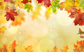 绿色植物装饰树叶背景