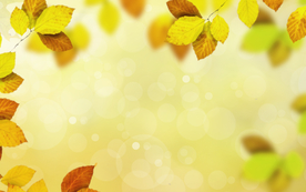 卡通树叶装饰叶子背景