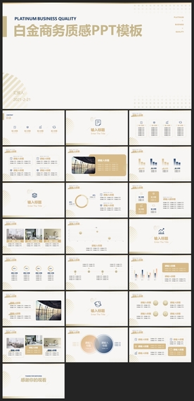 商务会议汇报项目介绍PPT