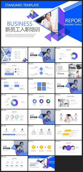 商务会议汇报项目介绍PPT