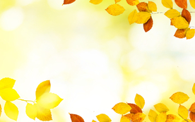 卡通装饰树叶背景