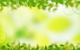 树叶装饰植物叶子背景