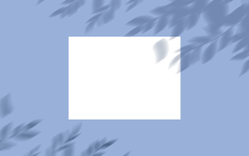 卡通装饰植物树叶背景