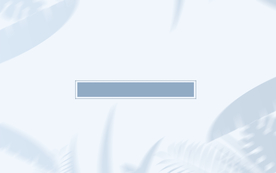 莫兰迪装饰背景