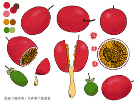 百香果手绘素材