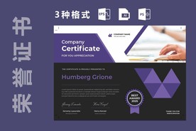 荣誉证书时尚竖版证书