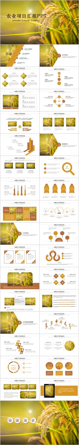 农业部门农业项目汇报PPT