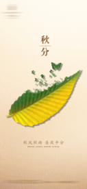 秋分