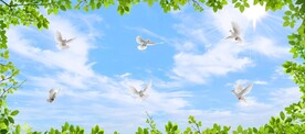 蓝天白云鸽子