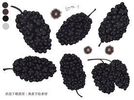 桑葚手绘素材
