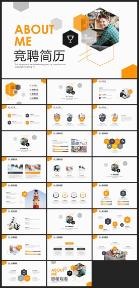 求职学生个人简历PPT素材