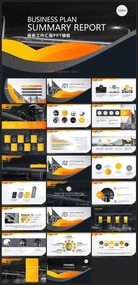 商务会议汇报项目介绍PPT