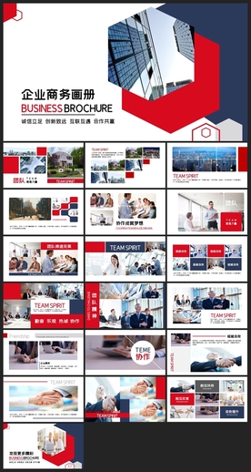 商务会议汇报项目介绍PPT