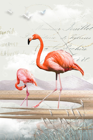 火烈鸟装饰画