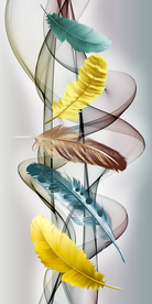 羽毛线条装饰画玄关