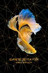 年年有鱼装饰画