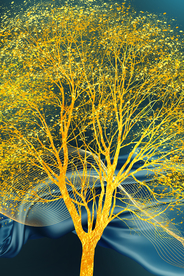 金色发财树玄关