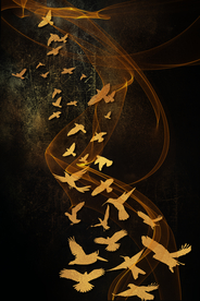 抽象金色鸟群装饰画