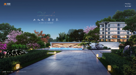 洋房 别墅 庭院 地产