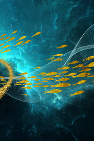 海底鱼群晶瓷画