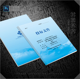 投标文件