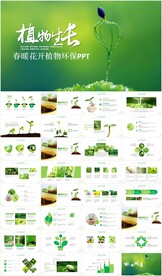 小树苗生长发芽成长ppt