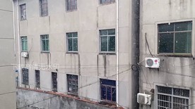 农村冬季下雪雪景雪花飞舞视频