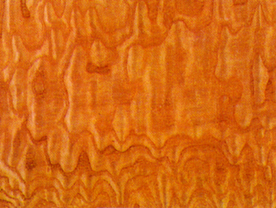 贴图 地板 素材 材质  实木