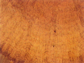 贴图 地板 素材 材质  实木