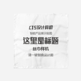 精品真丝丝巾样机