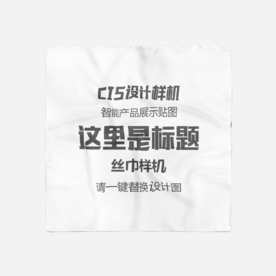 真丝丝巾样机