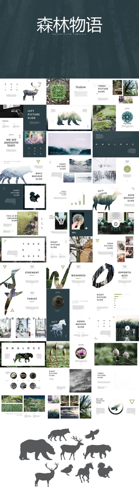 森系总结ppt