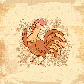 鸡手绘插画