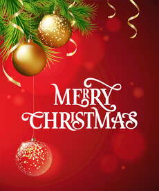 圣诞节元素插画设计