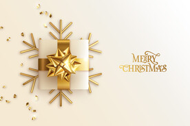 圣诞节元素插画设计