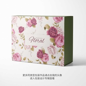 精美包装盒平面图