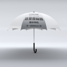 直杆伞样机