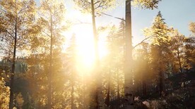 短视频素材日过穿过森林