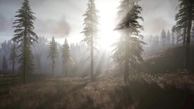 短视频素材阳光透过薄雾森林