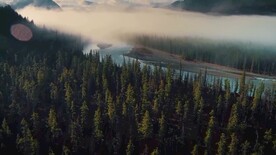 短视频素材森林河流云雾远山