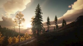 宣传视频素材太阳经过树梢