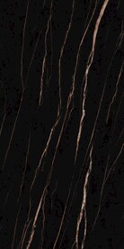 黑金花 金龙黑高清瓷砖设计