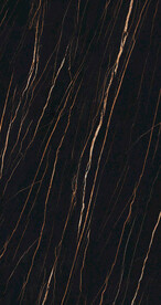 黑金花 金龙黑高清瓷砖设计