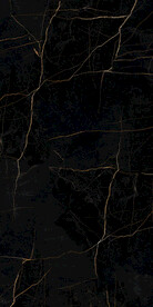 黑金花 金龙黑高清瓷砖设计