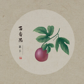 手绘百香果